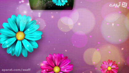 cover-7Nng8