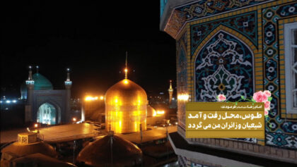 cover-diI46