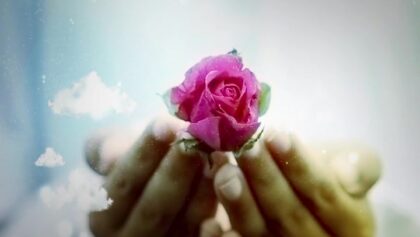 cover-ptpqghf