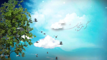cover-spm0p9m