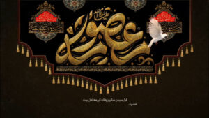 cover-tnzb55c
