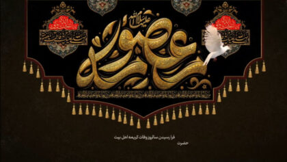 cover-tnzb55c