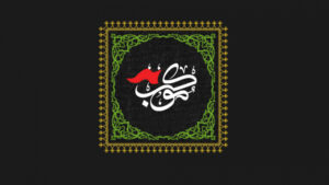 cover-u95air1