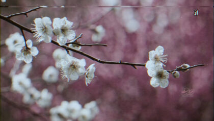 cover-y8035zy