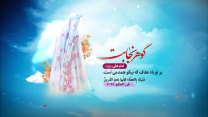 cover-z72dgad